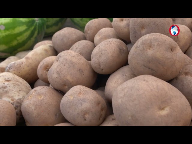 Drought Drives Food Prices Skyward at Kingston Market