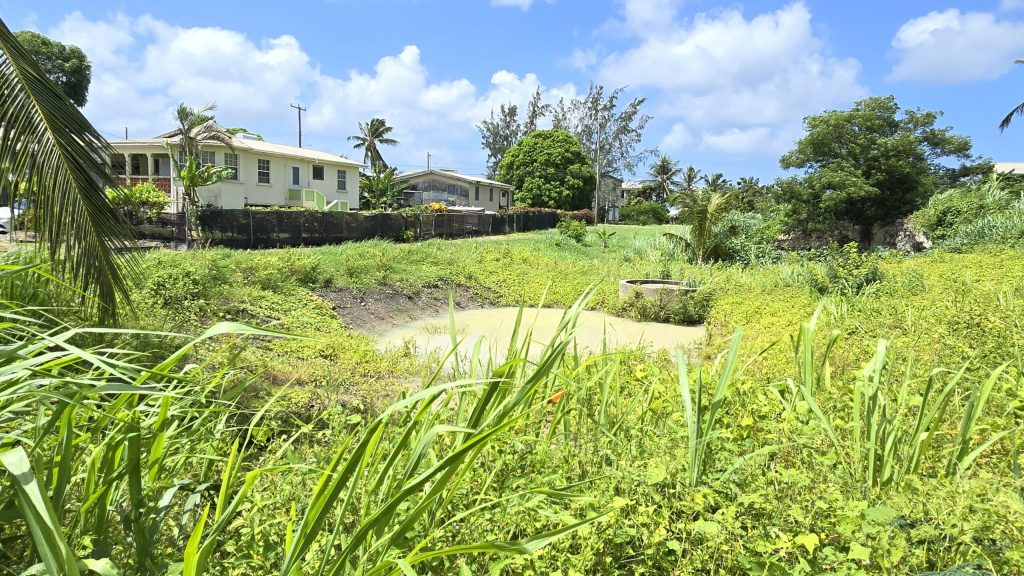 Drainage officials looking into Husbands Gardens ‘pool’ – MP