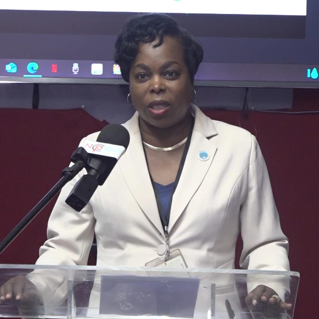 Software Technology to Modernize Saint Lucia’s Insolvency System