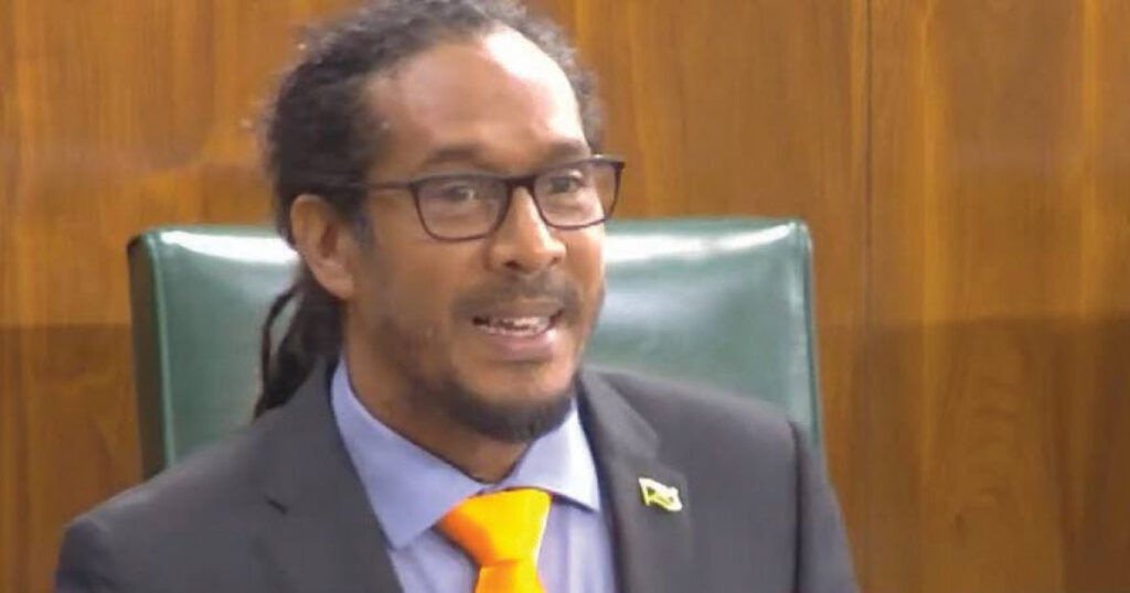 Senator Bernard questions whether JCCA will address vexed issue of banking fees