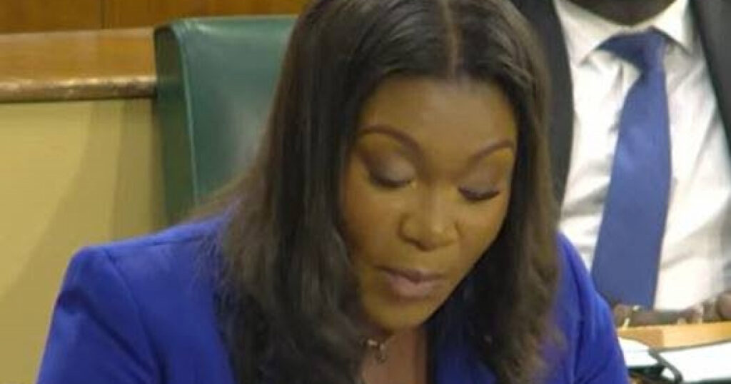 Jess calls for judicial discretion amid Govt’s proposed 20-year minimum gun sentence