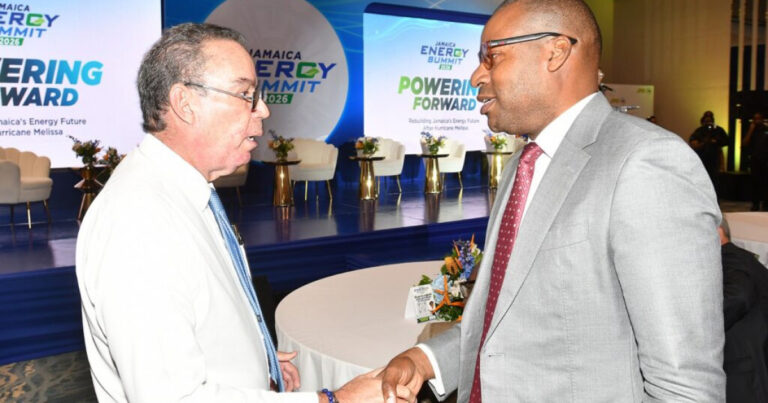 Energy Minister Vaz Pressures JPS to Cut Electricity Rates Before Licence Expires
